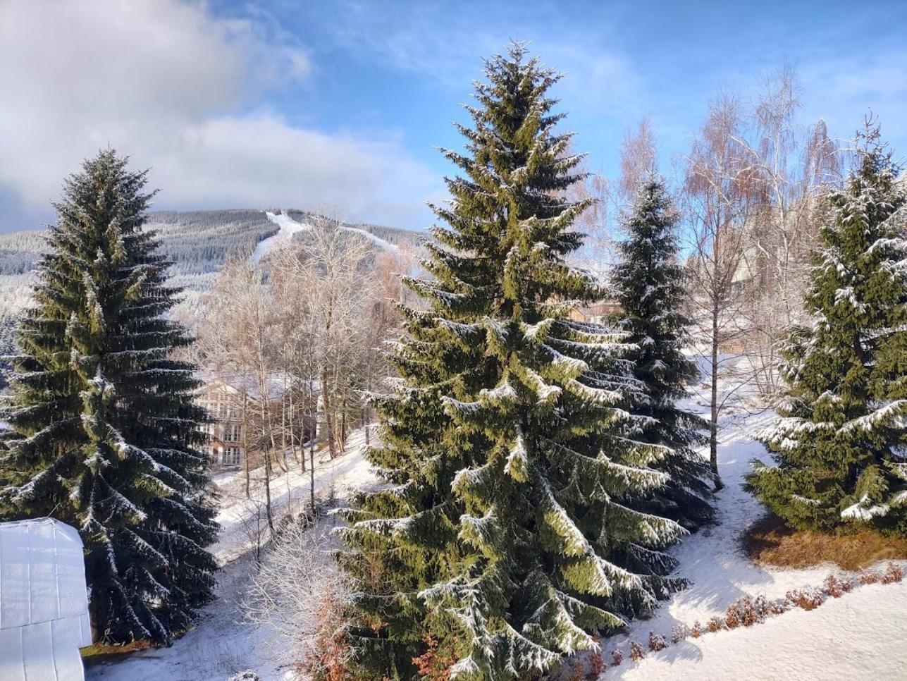 Triluzkovy Pokoj Pension Kubu Spindleruv Mlyn Exterior photo